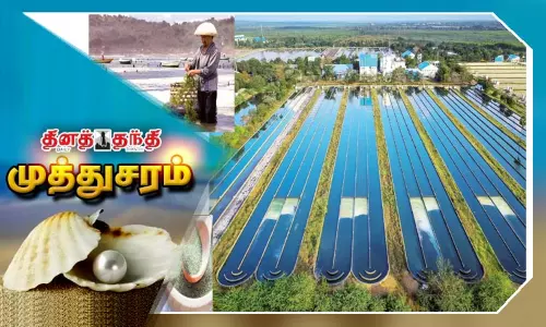 புரதச்சத்து பற்றாக்குறையை நிவர்த்தி செய்யும் கடல்பாசி விவசாயம் புரதச்சத்து பற்றாக்குறையை நிவர்த்தி செய்யும் கடல்பாசி விவசாயம்