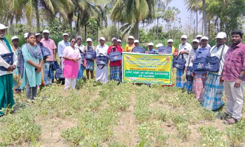 மணிலா, எள் பயிர்களை தாக்கும் பூச்சிகளை கட்டுப்படுத்த பயிற்சி மணிலா, எள் பயிர்களை தாக்கும் பூச்சிகளை கட்டுப்படுத்த பயிற்சி