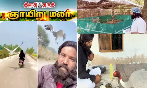 பறவையின் நன்றி மறவாத பாசம்