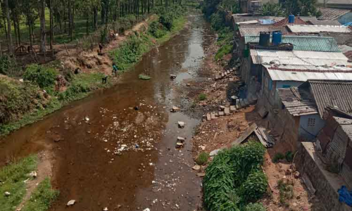 வால்பாறை அருகே வாழைத்தோட்டம் ஆற்றை தூர்வார வேண்டும்-பொதுமக்கள் வலியுறுத்தல்