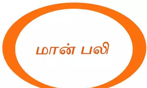 வாகனம் மோதி புள்ளி மான் பலி