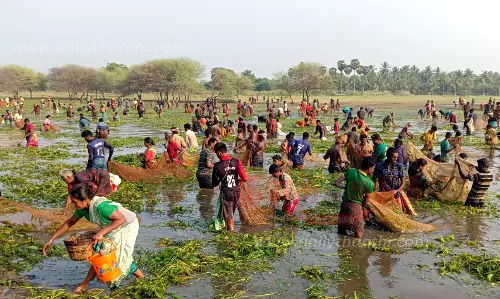 அய்யமுத்தன்பட்டியில் களை கட்டிய மீன்பிடி திருவிழா அய்யமுத்தன்பட்டியில் களை கட்டிய மீன்பிடி திருவிழா