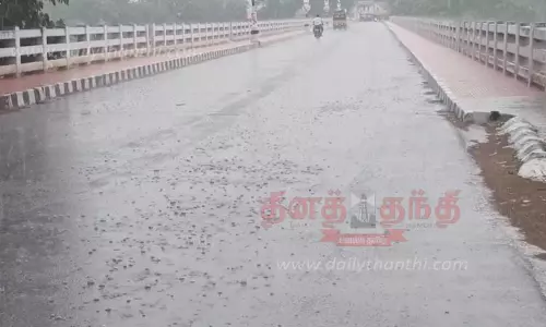 மானாமதுரை பகுதியில் பலத்த மழை மானாமதுரை பகுதியில் பலத்த மழை
