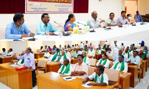 வெளிநாட்டு பறவைகளால் நெற்பயிர்கள் சேதம்