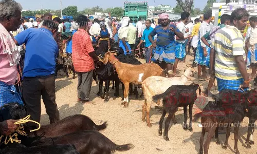 ரம்ஜான் பண்டிகையை முன்னிட்டு ரூ.1 கோடிக்கு ஆடுகள் விற்பனை