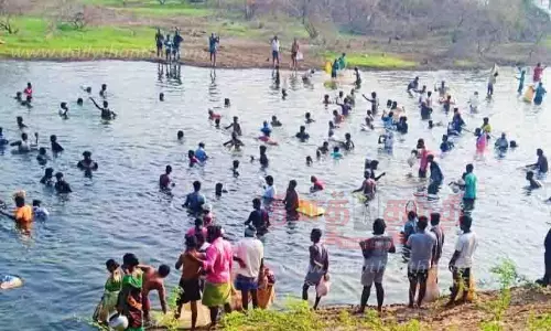 ஏரியில் மீன்பிடி திருவிழா ஏரியில் மீன்பிடி திருவிழா