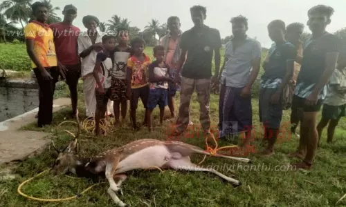 கிணற்றில் தவறி விழுந்து புள்ளிமான் சாவு