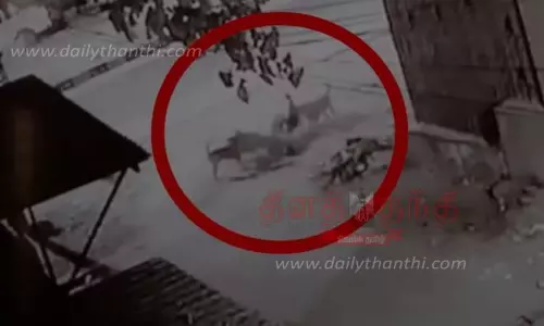 தெருநாய்கள் கடித்து சிறுவன் படுகாயம்; நெஞ்சை பதற வைக்கும் வீடியோ காட்சிகள் வைரல் தெருநாய்கள் கடித்து சிறுவன் படுகாயம்; நெஞ்சை பதற வைக்கும் வீடியோ காட்சிகள் வைரல்