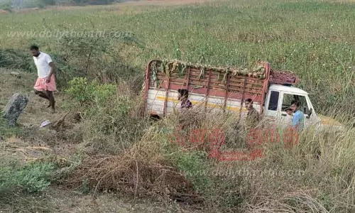 ஏரிக்கரையில் வேன் கவிழ்ந்தது