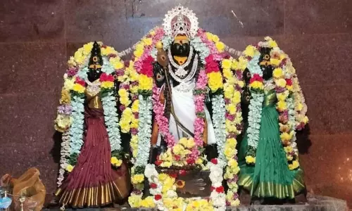 சங்கராபுரம் பகுதி முருகன் கோவில்களில் கிருத்திகை வழிபாடு