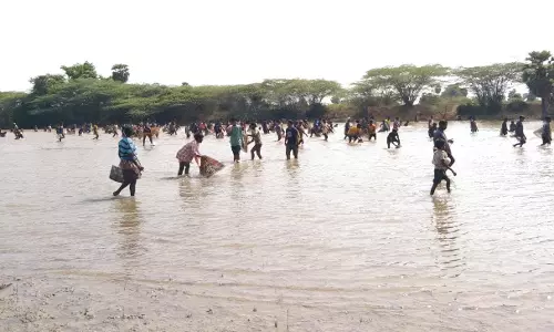 காரிய கண்மாயில் மீன்பிடி திருவிழா