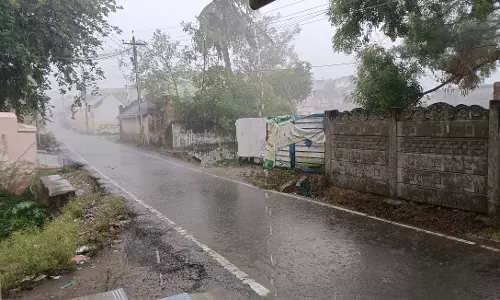 பொன்னமராவதி பகுதியில் கோடை மழை