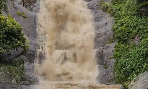 கொடைக்கானலில் கொட்டித்தீர்த்த கனமழை கொடைக்கானலில் கொட்டித்தீர்த்த கனமழை