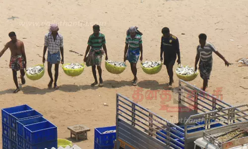 மீன்கள் விலை உயராததால் மீனவர்கள் ஏமாற்றம்