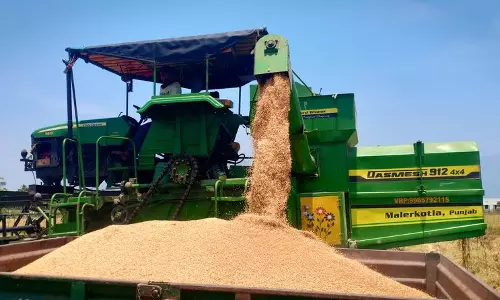 கம்பம் பள்ளத்தாக்கு கடைமடை பகுதியில்நெல் அறுவடை பணி தீவிரம்