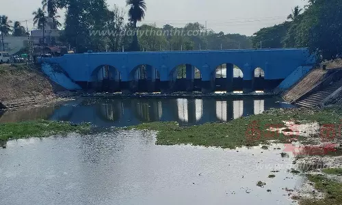 திருவாரூர் மாவட்டத்தில் வறண்டு வரும் நீர்நிலைகள்