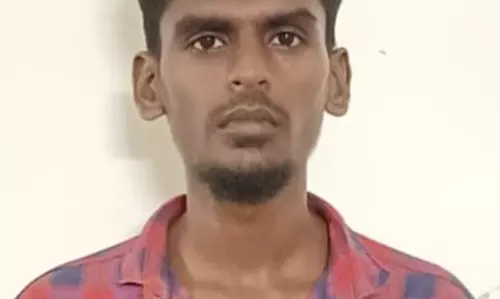 பெரியகுளம் அருகே பயங்கரம்:தலையில் கல்லைப்போட்டு பெயிண்டர் படுகொலை :வேலைக்கு செல்லாததை கண்டித்ததால் உறவினர் வெறிச்செயல்