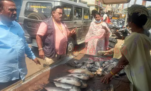 உணவு பாதுகாப்பு துறை அதிகாரிகள் மீன் கடைகளில் ஆய்வு உணவு பாதுகாப்பு துறை அதிகாரிகள் மீன் கடைகளில் ஆய்வு