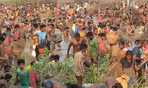 புது கண்மாயில் மீன்பிடி திருவிழா