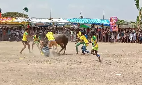 திருமயத்தில் வடமாடு மஞ்சுவிரட்டு