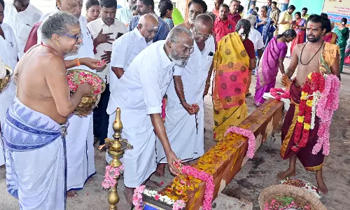 தேனுபுரீஸ்வரர் கோவிலுக்கு ரூ.87 லட்சத்தில் புதிய தேர் கட்டும் பணி