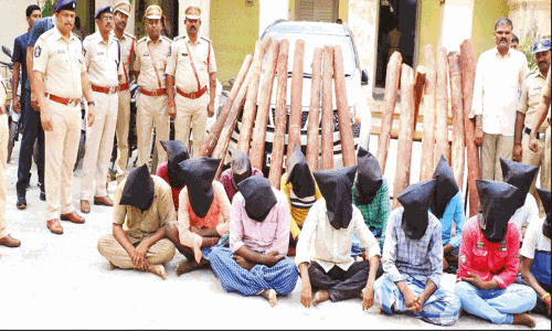 திருப்பதி அருகே செம்மரம் வெட்டிய 13 பேர் கைது: வாகனங்கள் பறிமுதல் திருப்பதி அருகே செம்மரம் வெட்டிய 13 பேர் கைது: வாகனங்கள் பறிமுதல்