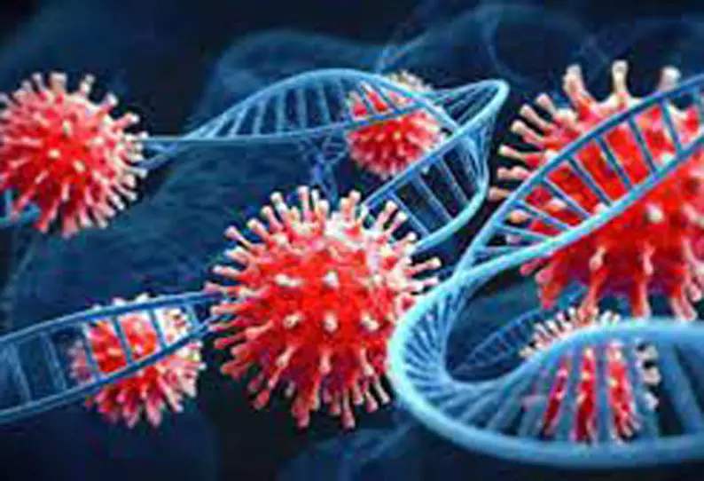 கொரோனா பாதிப்பு சரிவு