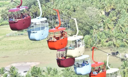 பழனி முருகன் கோவிலில் ரோப்கார் சேவை 2 நாட்கள் நிறுத்தம் பழனி முருகன் கோவிலில் ரோப்கார் சேவை 2 நாட்கள் நிறுத்தம்