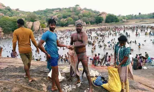 திருப்பத்தூர் அருகே  மீன்பிடி திருவிழா திருப்பத்தூர் அருகே  மீன்பிடி திருவிழா
