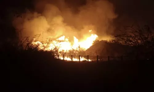 சித்தன்னவாசல் மலை பகுதியில் பயங்கர தீ