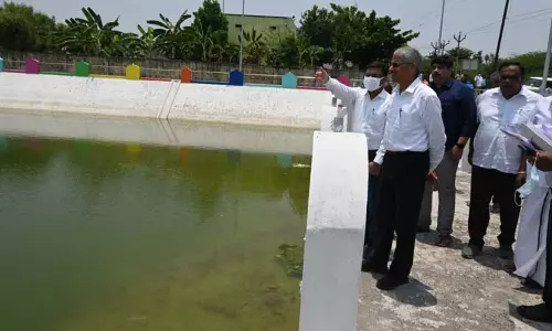 வளர்ச்சி திட்டப்பணிகளை அதிகாரி ஆய்வு