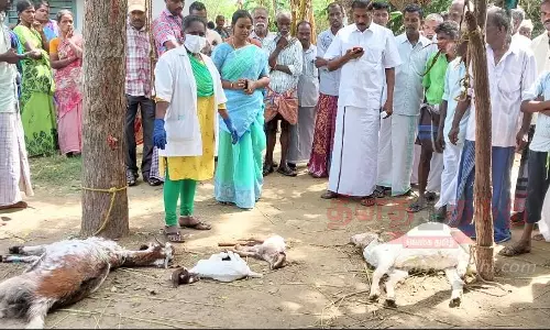 மின்னல் தாக்கி பெண் பலி மின்னல் தாக்கி பெண் பலி