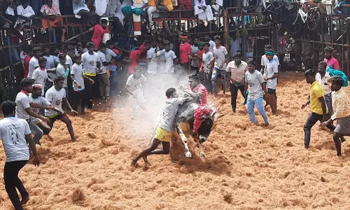 காளைகள் முட்டியதில் 21 பேர் காயம் காளைகள் முட்டியதில் 21 பேர் காயம்