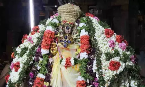 ஸ்ரீரங்கம் ரெங்கநாதர் கோவிலில் நம்பெருமாள் கோடை திருநாள் தொடக்கம்