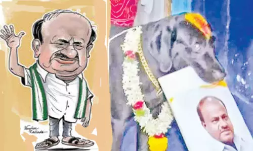 கர்நாடகாவின் அடுத்த முதல்-மந்திரி யார்?- எச்.டி.குமாரசாமி படத்தை கவ்வி எடுத்த பைரவா நாய்