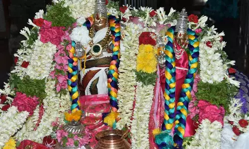 பழனி லட்சுமி-நாராயண பெருமாள் கோவிலில் சித்திரை திருவிழா பழனி லட்சுமி-நாராயண பெருமாள் கோவிலில் சித்திரை திருவிழா