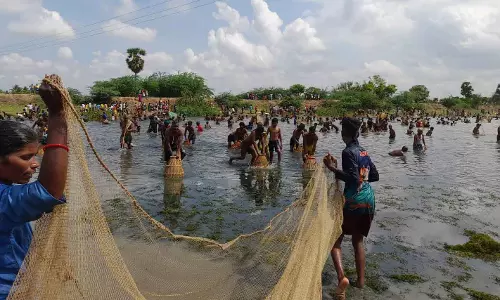 மீன்பிடி திருவிழா மீன்பிடி திருவிழா