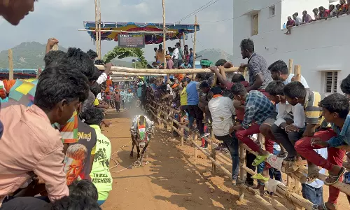 வேப்பனப்பள்ளி அருகே எருதுவிடும் விழா 250 காளைகள் பங்கேற்பு