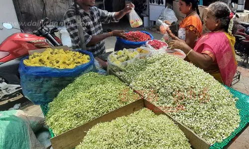 ராமநாதபுரம் மாவட்டத்தில் விலை சரிவு-மல்லிகை கிலோ ரூ.300-க்கு விற்பனை