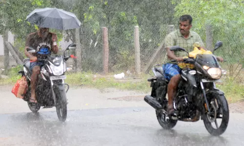 புதுக்கோட்டையில் கோடை மழை