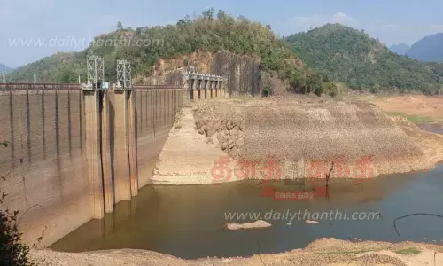 பாபநாசம் அணை நீர்மட்டம் கிடுகிடுவென சரிந்தது