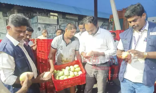 மாட்டுத்தாவணி மார்க்கெட்டில் செயற்கை முறையில் பழுக்க வைக்கப்பட்ட பழங்கள் அழிப்பு- உணவு பாதுகாப்பு அலுவலர் அதிரடி மாட்டுத்தாவணி மார்க்கெட்டில் செயற்கை முறையில் பழுக்க வைக்கப்பட்ட பழங்கள் அழிப்பு- உணவு பாதுகாப்பு அலுவலர் அதிரடி