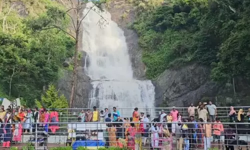 கொடைக்கானலில் வெளுத்து வாங்கிய கனமழை; மண் சரிவு, மரம் சாய்ந்ததால் போக்குவரத்து பாதிப்பு கொடைக்கானலில் வெளுத்து வாங்கிய கனமழை; மண் சரிவு, மரம் சாய்ந்ததால் போக்குவரத்து பாதிப்பு