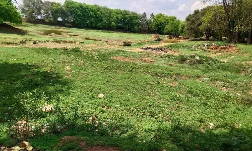 கம்பம் அருகேகேசவபுரம் கண்மாய் தூர்வாரப்படுமா?விவசாயிகள் எதிர்பார்ப்பு