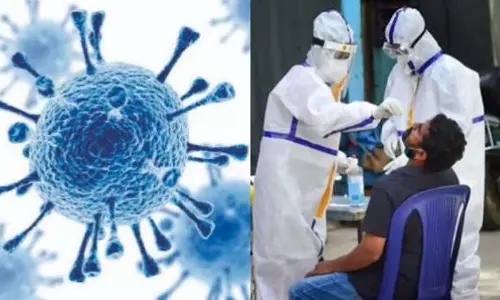 கொரோனா பாதித்த 134 பேருக்கு தொடர் சிகிச்சை