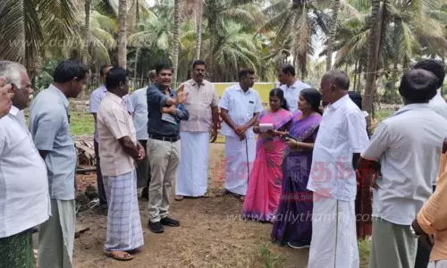 தென்னந்தோப்புகளில் மாவட்ட குழு ஆய்வு