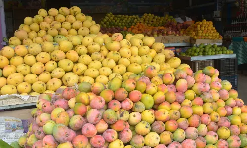 செயற்கை முறையில் பழுக்க வைக்கும் மாம்பழங்கள்; டாக்டர், வியாபாரிகள் கருத்து