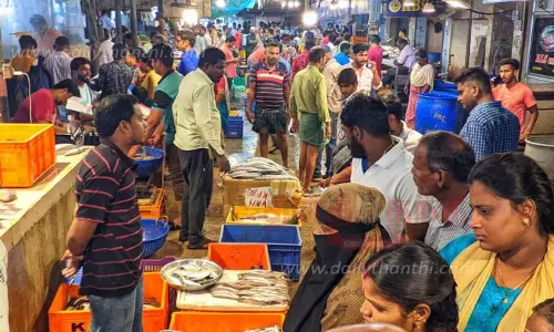 வேலூர் மார்க்கெட்டில் மீன்கள் விலை உயர்வு