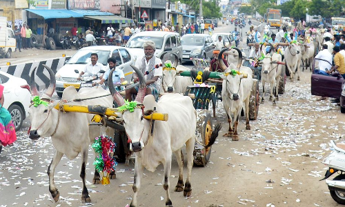 திண்டுக்கல்லில் மஞ்சள் நீராட்டு விழா; மாட்டுவண்டிகளில் சீர்வரிசை கொண்டு வந்த தாய்மாமன்கள் திண்டுக்கல்லில் மஞ்சள் நீராட்டு விழா; மாட்டுவண்டிகளில் சீர்வரிசை கொண்டு வந்த தாய்மாமன்கள்