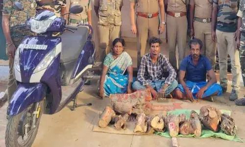 பவானிசாகர் அருகேசந்தன மரம் வெட்டி கடத்தல்;கணவன்- மனைவி உள்பட 3 பேர் கைது பவானிசாகர் அருகேசந்தன மரம் வெட்டி கடத்தல்;கணவன்- மனைவி உள்பட 3 பேர் கைது